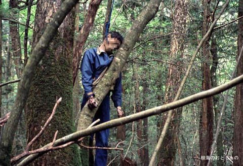 Rừng Aokigahara (Nhật Bản), là khu rừng có thảm thực vật đặc biệt, mọc ken dày. Khu rừng này nổi tiếng là nơi có nhiều vụ  tự sát. Do đó, nó có tên là Rừng Tự Sát.